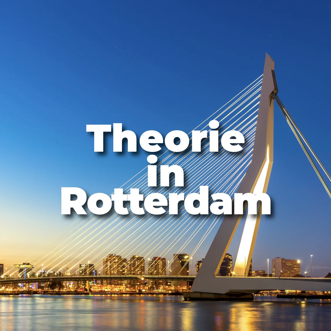 Theorie-examen oefenen in Rotterdam – Bereid je slim voor met Theoriebank.nl